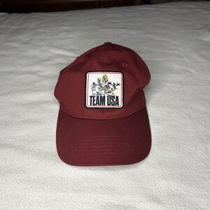 Looney Tunes Team USA Baseball Cap Cartoon Bugs Bunny Tweety Taz Sylvester
